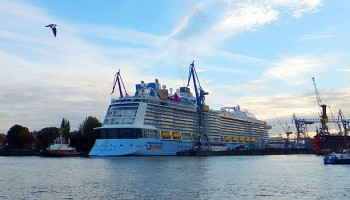 Die Quantum of the Seas beim Eindock-Manöver ins Dock Elbe 17 von Blohm + Voss © Melanie Kiel