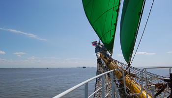 Die Alexander von Humboldt fährt unter grünen Segeln © Melanie Kiel