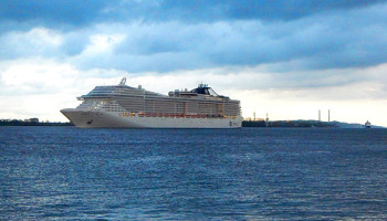Die MSC Splendida unterwegs auf der Elbe  © Melanie Kiel