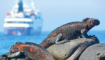 Expeditionskreuzfahrten zu den Galapagosinseln © Celebrity Cruises