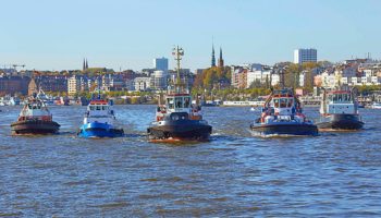 Die neue Allianz von BUGSIER und FAIRPLAY © FAIRPLAY – Peter Neumann