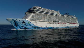 Die Norwegian Bliss © Meyer Werft
