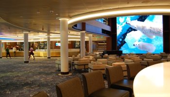 Das Thema "Alaska" spiegelt sich überall auf dem Schiff wider - sei es in Bildern, Kunstwerken oder auch auf den Screens © Melanie Kiel