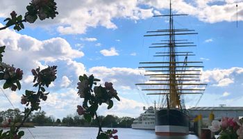 Die Viermastbark Peking in der Werft in Wewelsfleth © Melanie Kiel